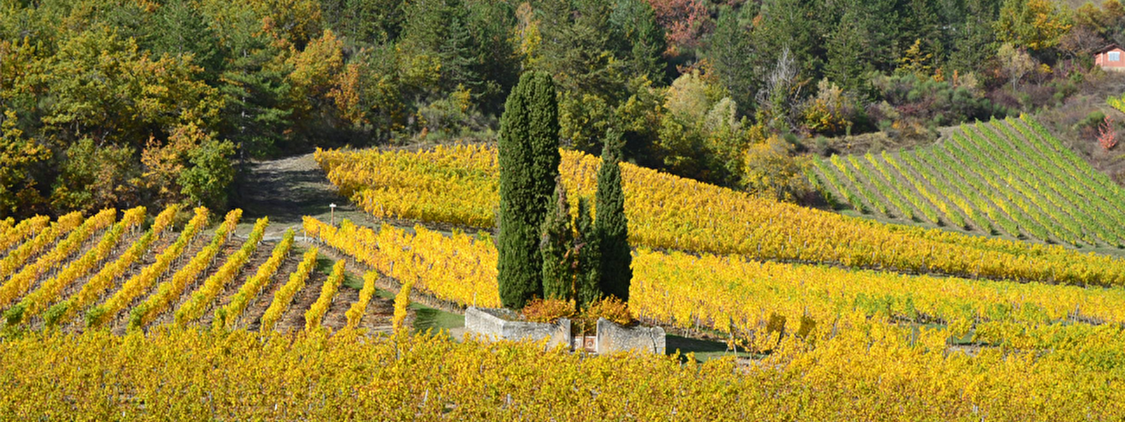 Cimetières familiaux