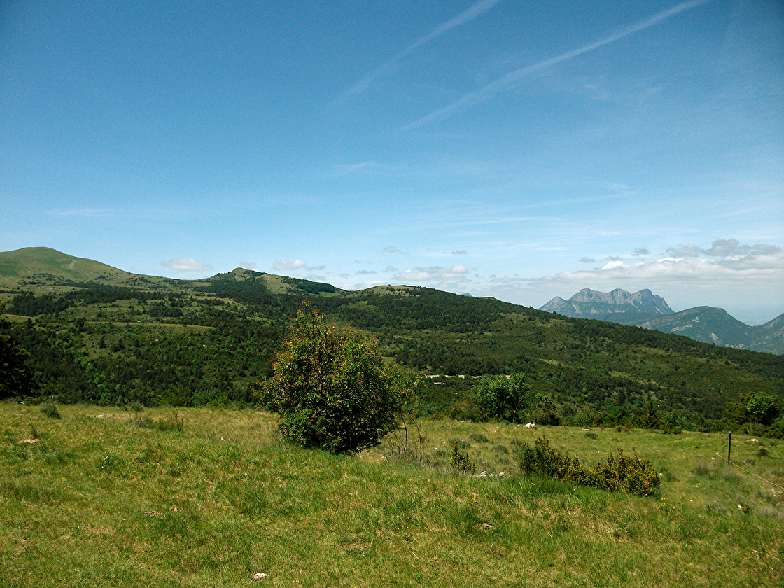 Aucelon