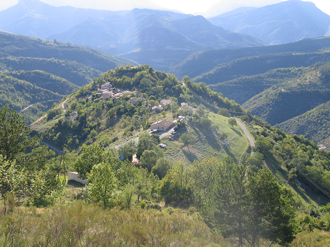 Aucelon