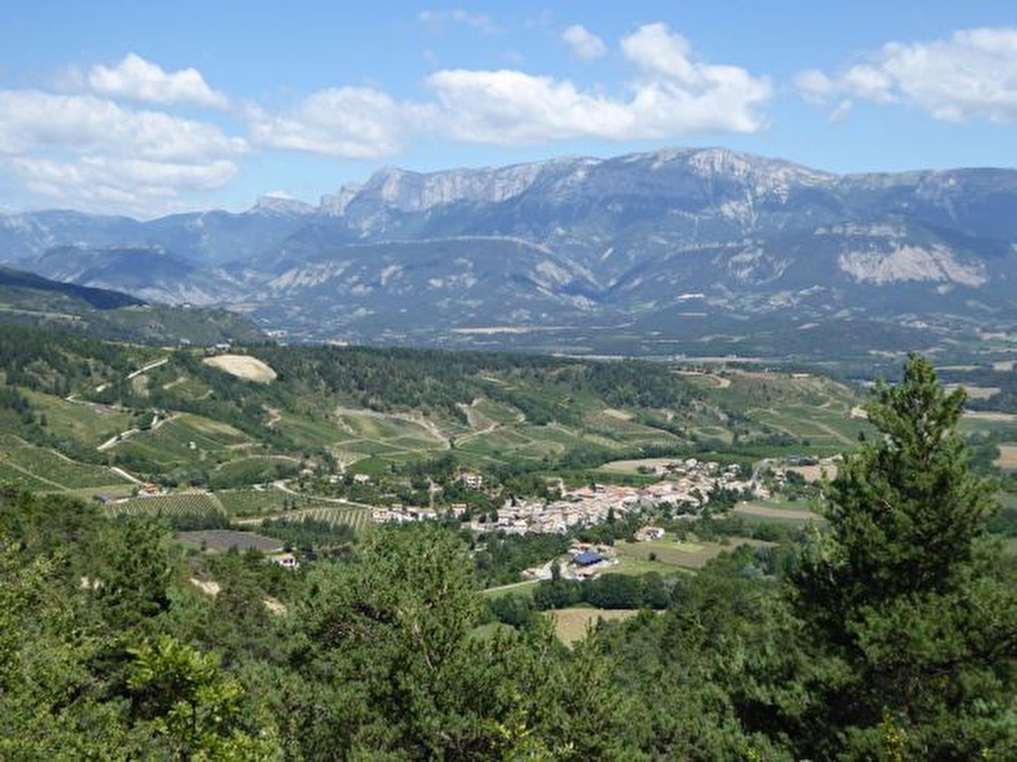 Barnave