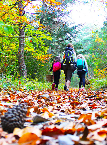 Rando d'automne