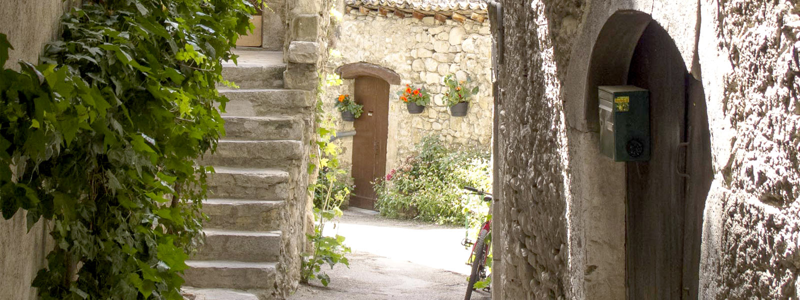 Viol de Châtillon-en-Diois