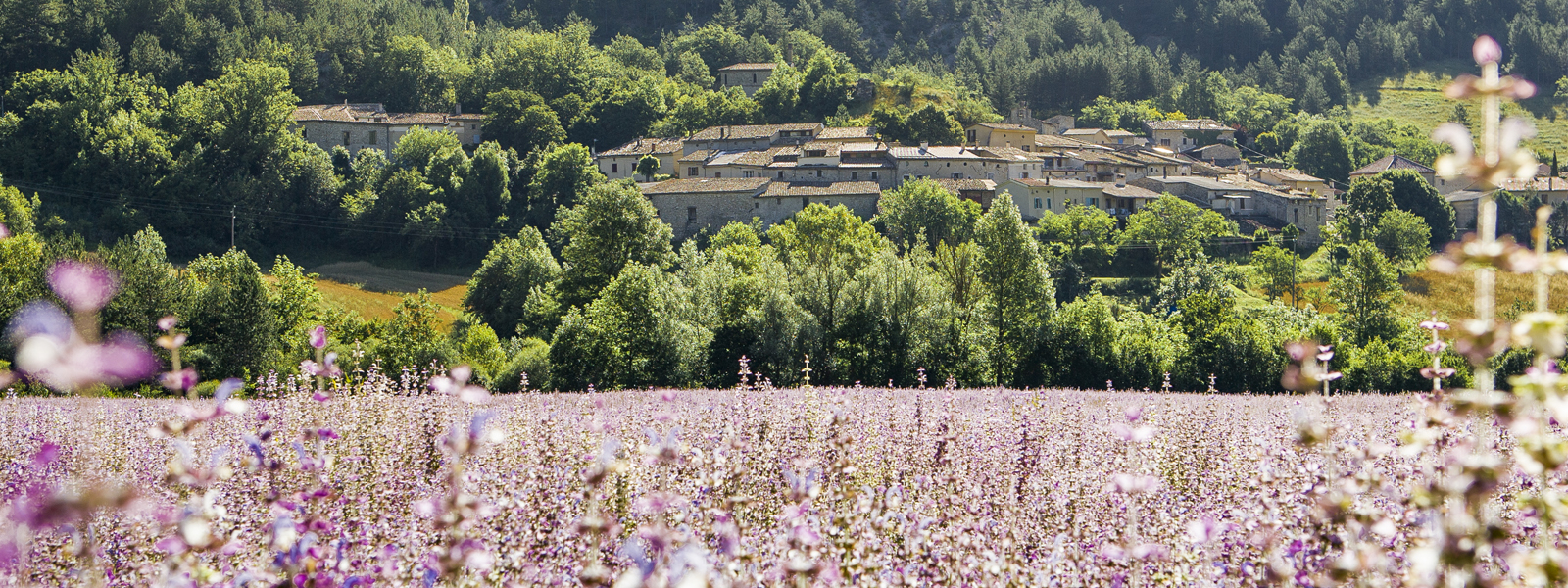 Ponet-Saint-Auban