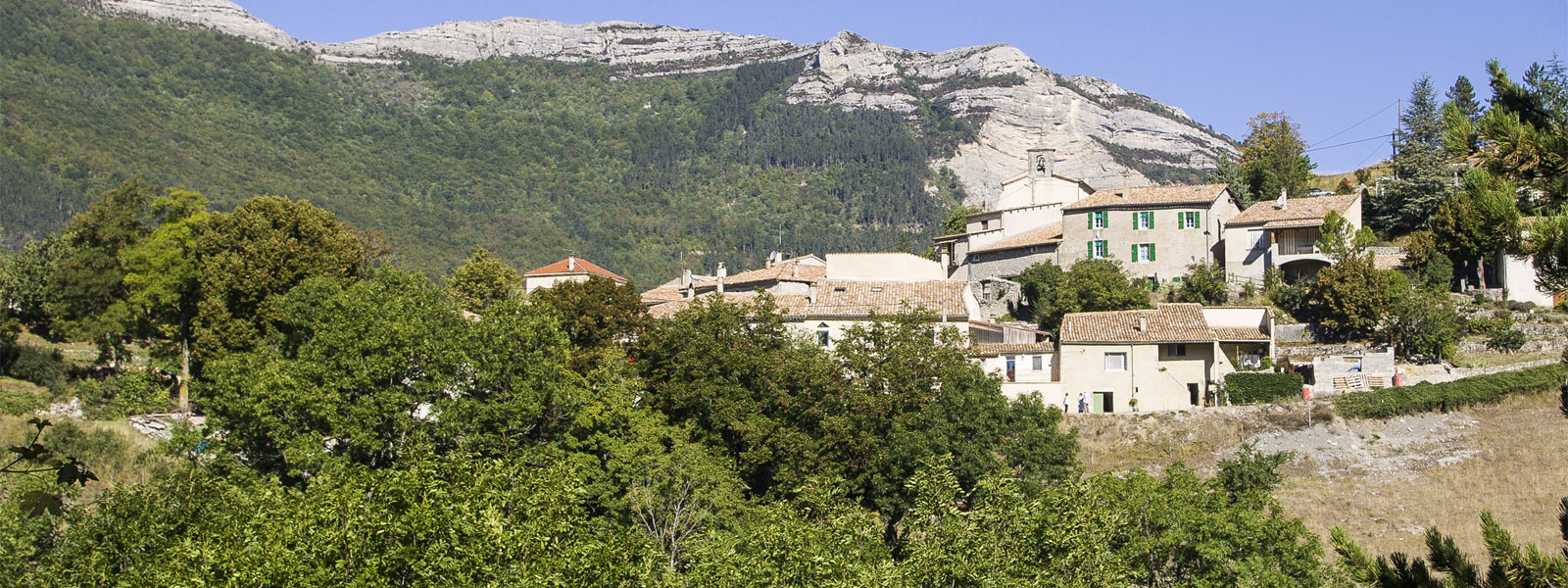 Jonchères