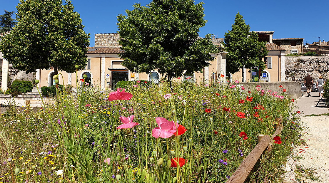 Office de Tourisme de Die