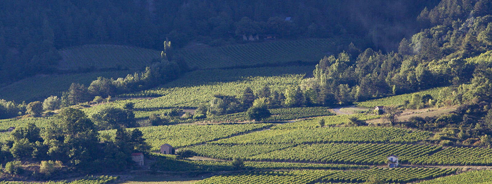 Vignobles de Châtillon en Diois, cabanons