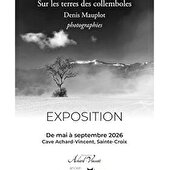 Exposition - Sur les terres des collemboles