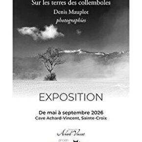 Exposition - Sur les terres des collemboles