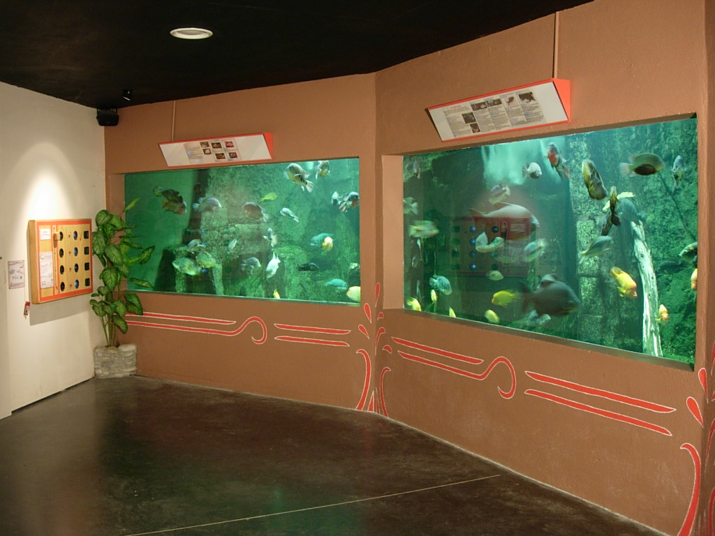 Aquarium6
