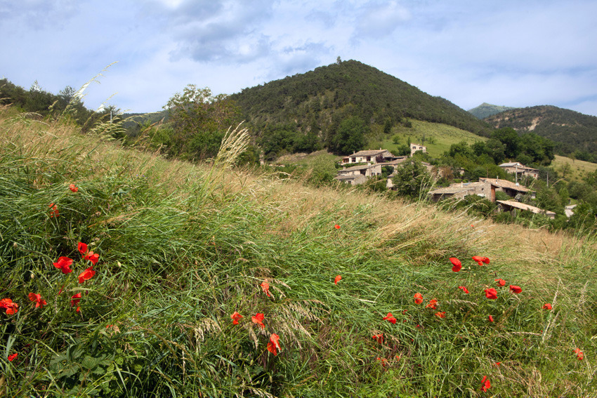Le hameau de Ribière comporte 8 maisons, loin de toute circulation routière.