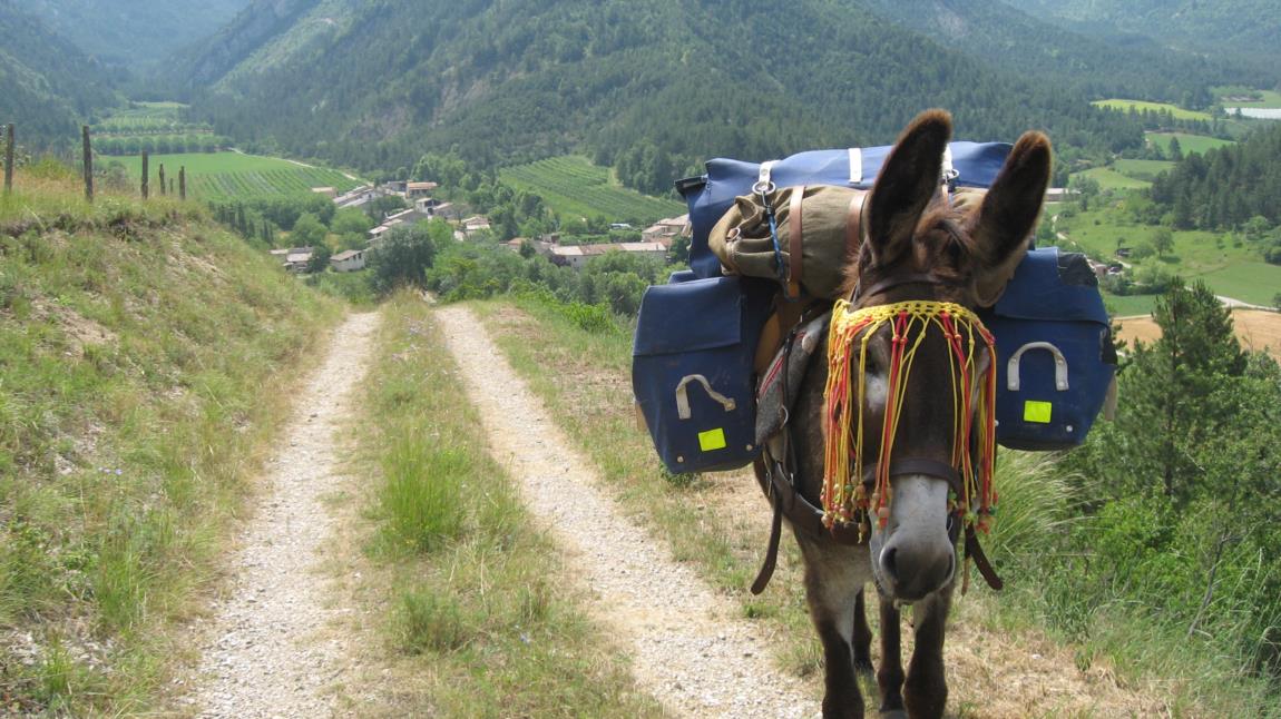 Donkey renting - Beaurieres