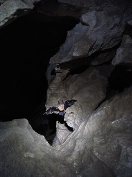 grotte Agnielles